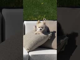 Getting his vitamin D