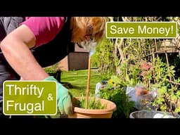 STORING 15p VEG | SAVE MONEY - GROW YOUR OWN | FRUGAL LIVING VLOG