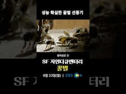성능 확실한 꿀벌 선풍기｜#다큐프라임 꿀벌｜6월 23일(월) 첫방송