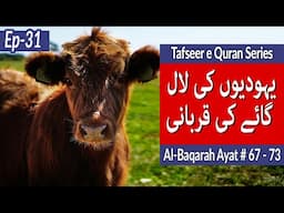 Red Heifer Sacrifice | Ayat 67 to 73 | Surah Al Baqarah | Tafseer e Quran | ep 31 | Urdu Translation