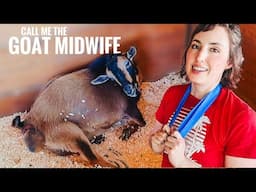 From Scary to Beautiful — This Goat Birth Had It All!