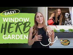 How to Grow Herbs Indoors | Easy Window Box Garden for City Homes