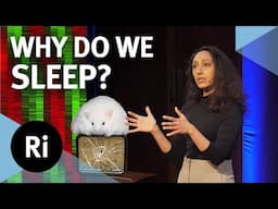 How does your body clock work? - with Aarti Jagannath