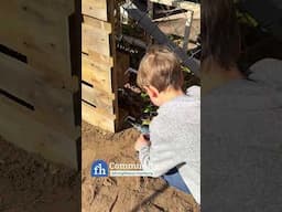 They Built a Pallet Plant Wall Privacy Screen