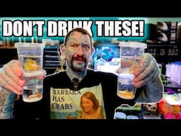 10 AMAZING AQUARIUM FISH! Paul's Aquariums Unboxing!