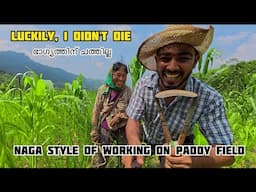ഭാഗ്യത്തിന് ചത്തില്ല 😡 Naga style of working on paddy field കൃഷിപ്പാടത്ത് പണിയെടുക്കാൻ പോയപ്പോൾ
