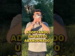 ENCONTRÉ UN GATITO ABANDONADO
