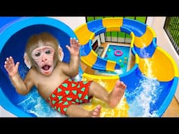 KIKI Monkey Challenges the Water Slides and has fun with Ducklings in Swimming Pool|KUDO ANIMAL KIKI