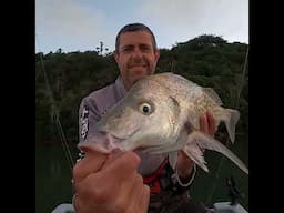 Nahoon River East London #catchandrelease #fishingsouthafrica #lighttackle #kob #mulloway #fishing