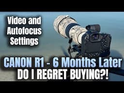 Canon R1 - 6 Month Review - Am I Happy?! Plus My Autofocus and Video Settings - Florida Wildlife