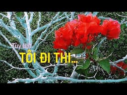 Tùy Bút TÔI ĐI THI TT - Nhạc 1.The Circle - Karunesh  2. Dream2 - Giovanni Marradi - 3-2025