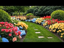 Create Your Dream Garden Space