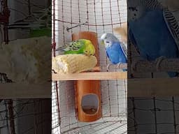 🥰🥰🥰