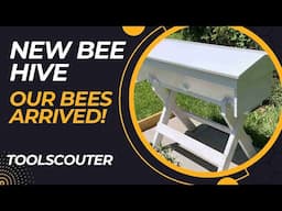 Placing Our First Colony of Bees on the Homestead