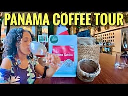 Tasting the World's Most Expensive Coffee In Panama.