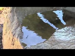 Boulders as Birdbaths