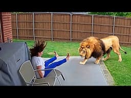 Unbelievable Animal Moments Ever Caught On Camera!