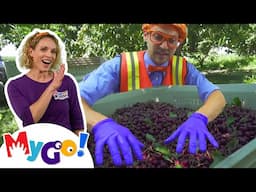 Cherries from the Farm! 🍒 | Learn with Blippi | American Sign Language for Kids