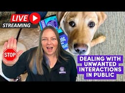 How to Deal with People Trying to Distract Your Service Dog in Public