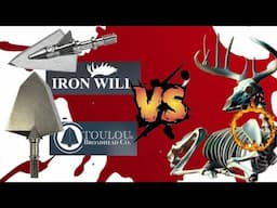 Broadhead Battle VS. Whitetail Shoulder Blade - Iron Will & Toulou Broadheads