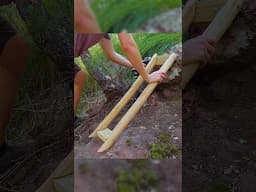Raw sounds of building in the bush. #woodworking #mtb #trailbuilding