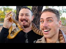 Catching Australia’s Most Deadly Snakes With A Snake Hunter