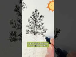 How to Ink Pine Trees #penandinkdrawing