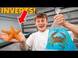 BUYING CREEPY ANIMALS FOR MY POND!