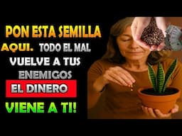 Este 30 de Abril Pon esta semilla aqui y todo el mal volverá a tus enemigos - El Dinero Llega