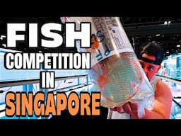 FROM THE U.S.  to SINGAPORE – Chasing a FISH TROPHY!