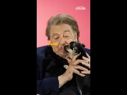 Al Pacino On His New Movie, "The Ritual"