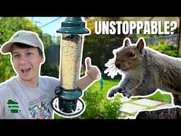Can Squirrels Outsmart This Bird Feeder? Brome Squirrel Buster Plus Review!