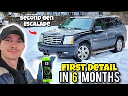 Deep Cleaning my Neglected Daily Driver with NEW Product Line | SATISFYING DETAIL
