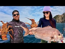 Fishing and Diving Crayfish Catch and Cook! Exploring New Zealand’s Coastline🦞