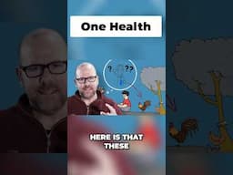 One Health: Why Human, Animal, & Environmental Health Are Linked!