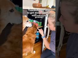 I guess I’m locking it from now on 🤦🏼‍♀️ #dogtrick #funnydog #dogfail