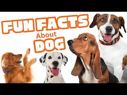 25 Fun Facts About Dogs for Kids! 🐾 Learn Amazing Dog Facts!