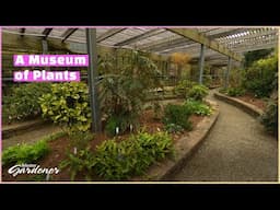 Lath House, JC Raulston Arboretum | Volunteer Gardener