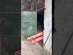 #casa#gallinas#animales#familia#familianumerosa#hogar#reformas#limpieza