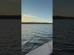 1978 Lund Mr Pike with 30HP Yamaha - Sea trial