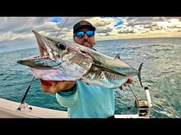 Livebaiting for Big City Mackerel! (Catch & clean)