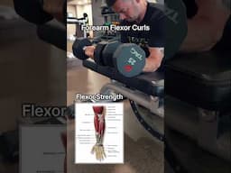 Forearm & Grip Strength Exercises