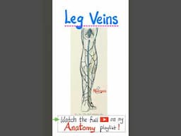 Veins of Lower Extremities - Anatomy of the lower limbs....#doctor #nurse  #anatomy #physiology