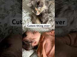 When your kid grows up with a cat 🫶🏼 #cat #catvideo #baby #pets