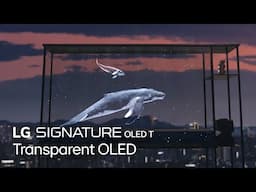LG SIGNATURE OLED T | A Világ Első Átlátszó és Valódi Vezeték Nélküli OLED TV-je