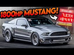 1800HP Twin Turbo Coyote Mustang DOMINATES the Drag Strip!