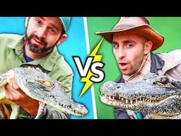 More Dangerous: GATOR or CROC?