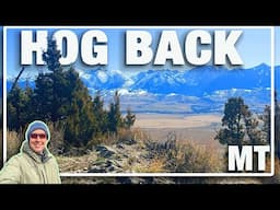 Stunning Montana Hike | Hog Back Trail Nature Walk in Paradise Valley | 4K Scenic Narrated Walk