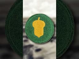 The Significance Behind the US Army’s 87th Infantry Division’s Golden Acorn