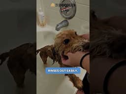 Hello to softness, shine, and that fresh pup smell!